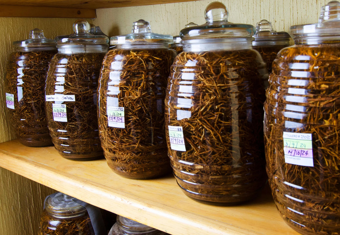 Was ist Chilcuague? - YOMERA