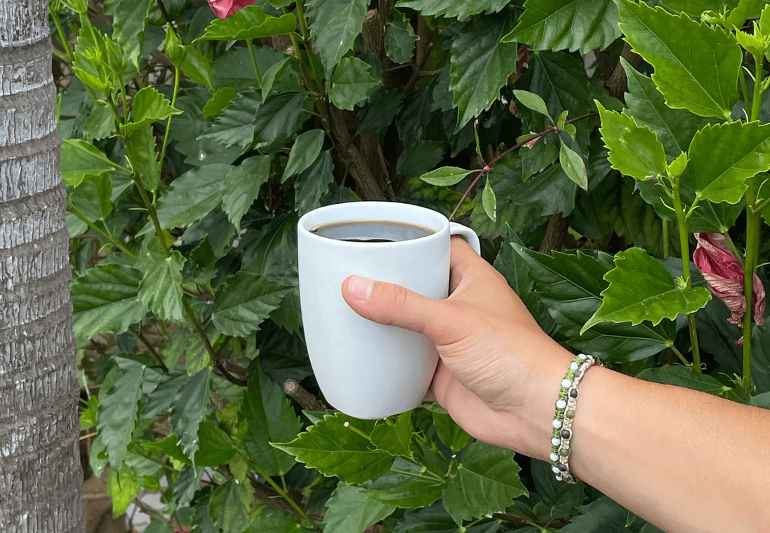 Der beste Kaffeeersatz: Wayusa – Energie aus der Natur - YOMERA