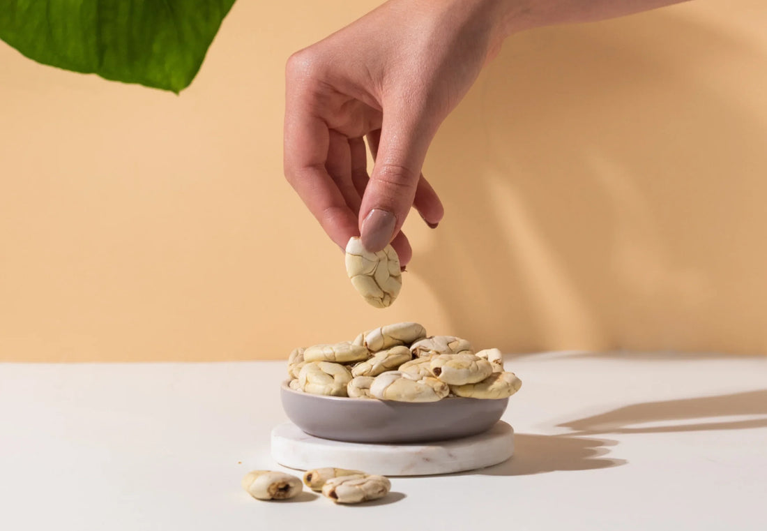 Was ist Macambo (Cacao Blanco) ? - YOMERA