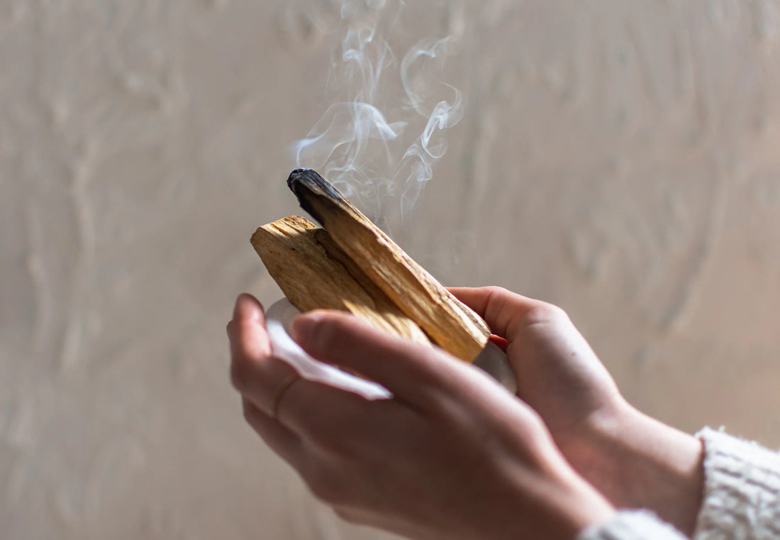 Palo Santo – Der heilige Duft des Regenwaldes - YOMERA