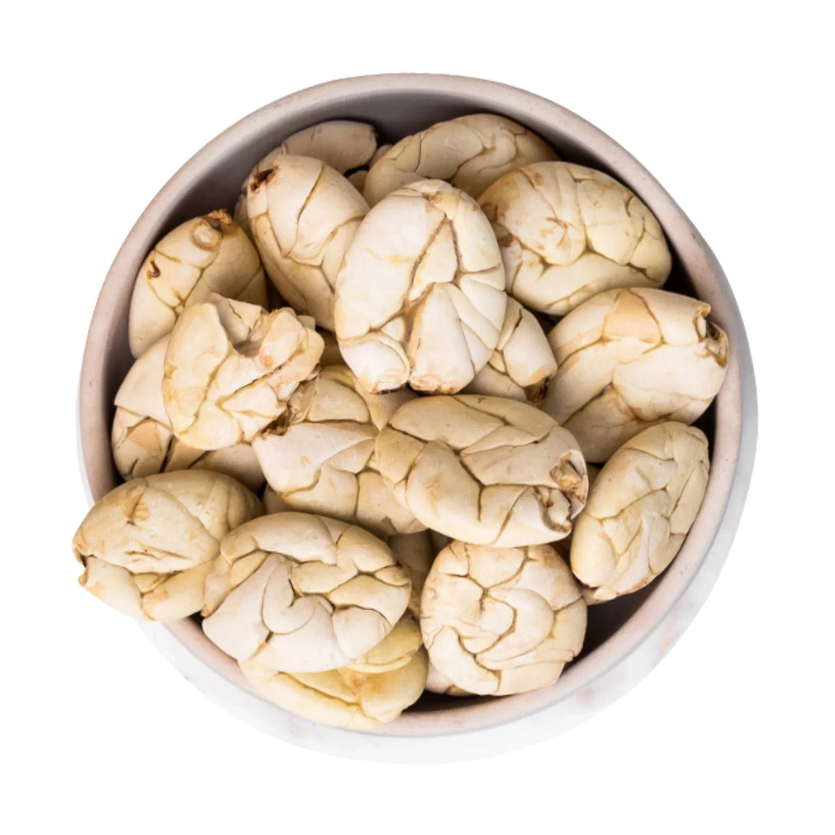 Macambo (Cacao Blanco) from Ecuador – light, nutty seeds as a cocoa alternative for drinks and cooking
