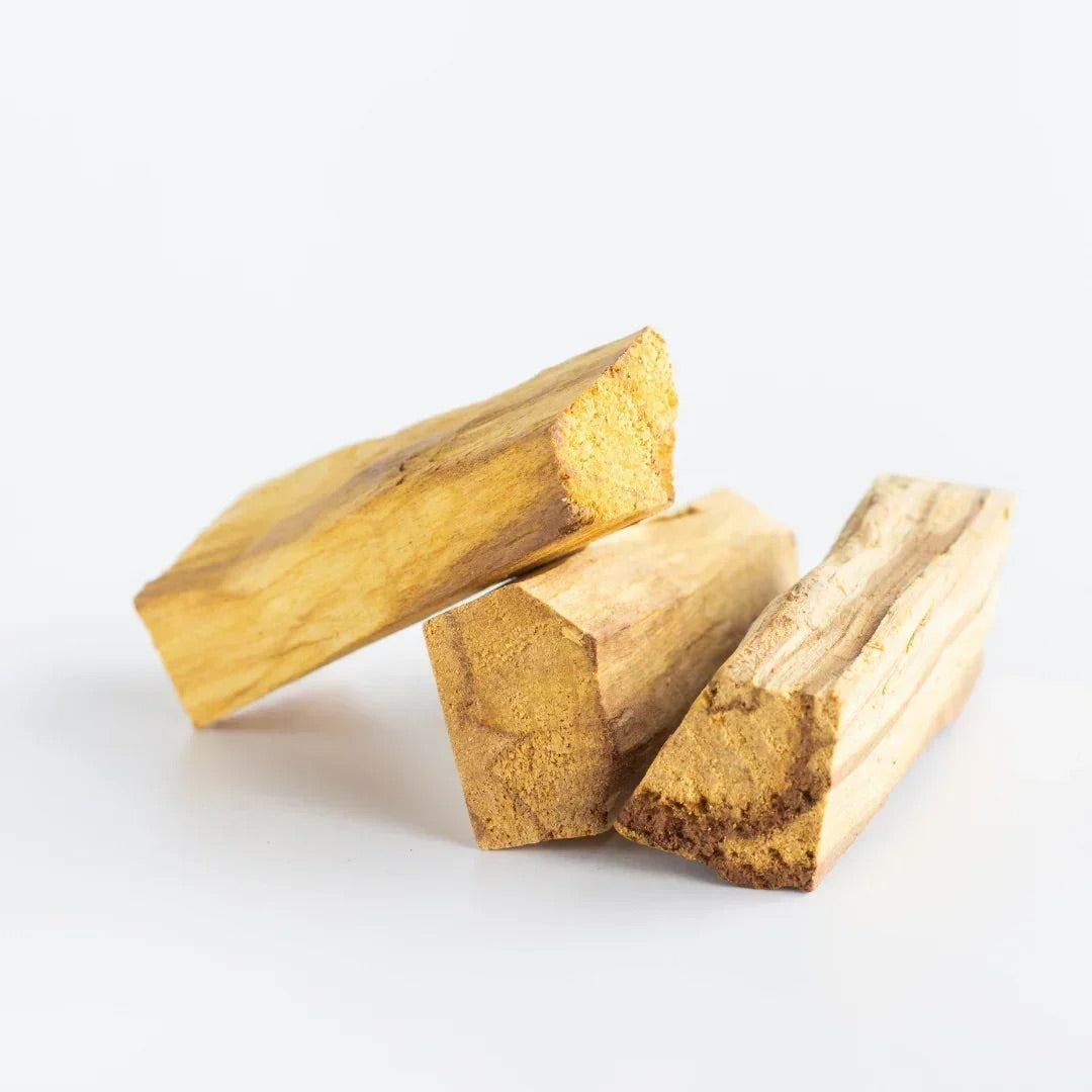 Palo Santo Räucherholz – aromatisches Holz aus Südamerika für Rituale und Meditation