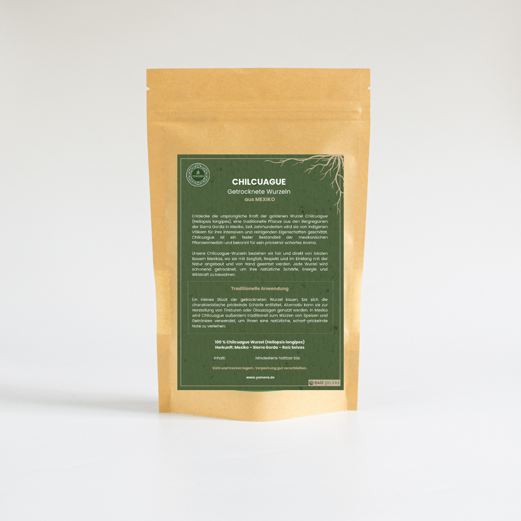 Chilcuague Wurzel, Golden root, Wurzel getrocknet, goldene Wurzel naturbelassen, Root extract, Wurzeln aus Mexiko