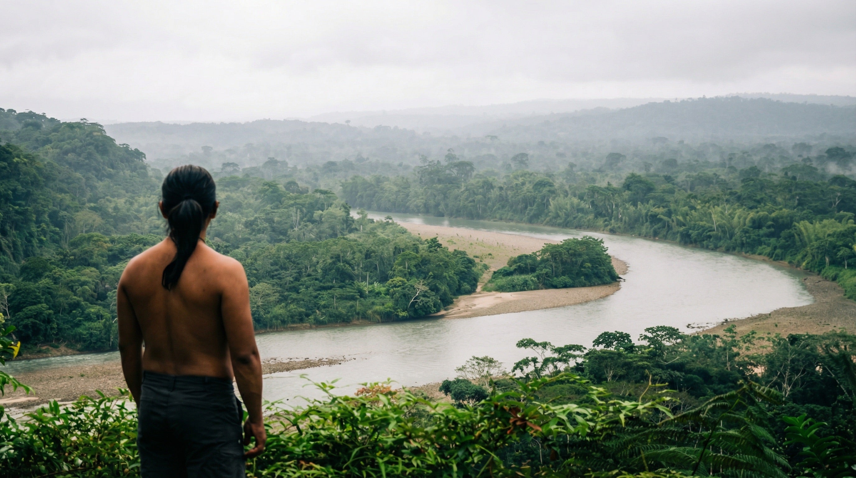 Traditionelle Pflanzen Produkte aus dem Dschungel