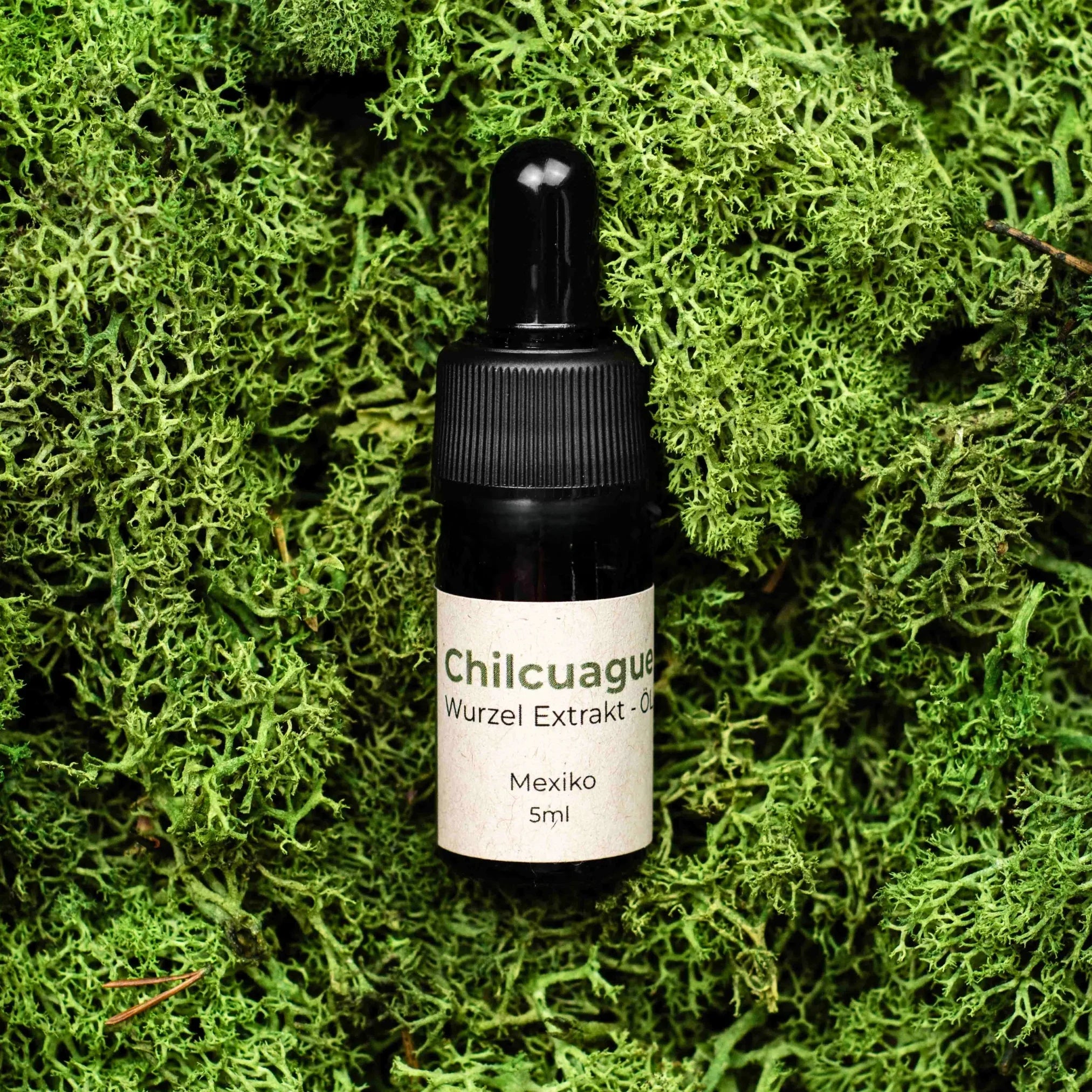 Chilcuague Öl, Wurzel Extrakt aus Mexiko, golden root in Avocadoöl, aztekische goldwurzel, vegan, extrakt, tinktur, kribbelndes Öl, 5ml pipette