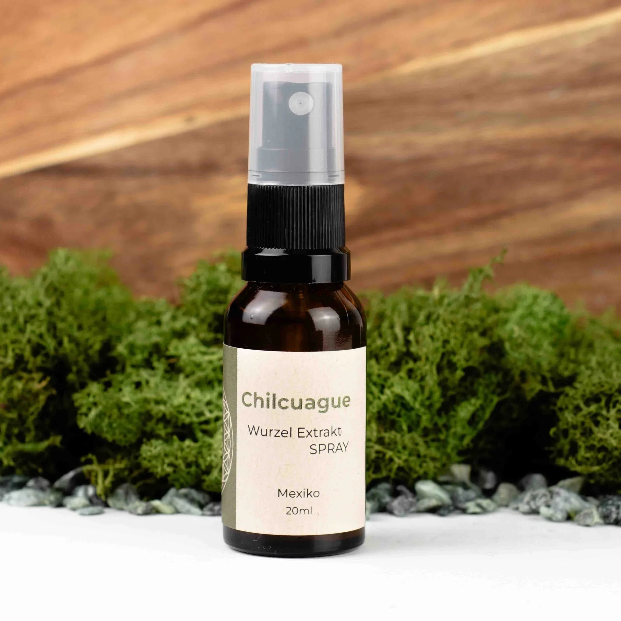 Chilcuague Spray, Wurzel Extrakt aus Mexiko, golden root, Heliopsis longipes, aztekische goldwurzel, extrakt, tinktur, kriblendes Mundspray, Raiz Selvas