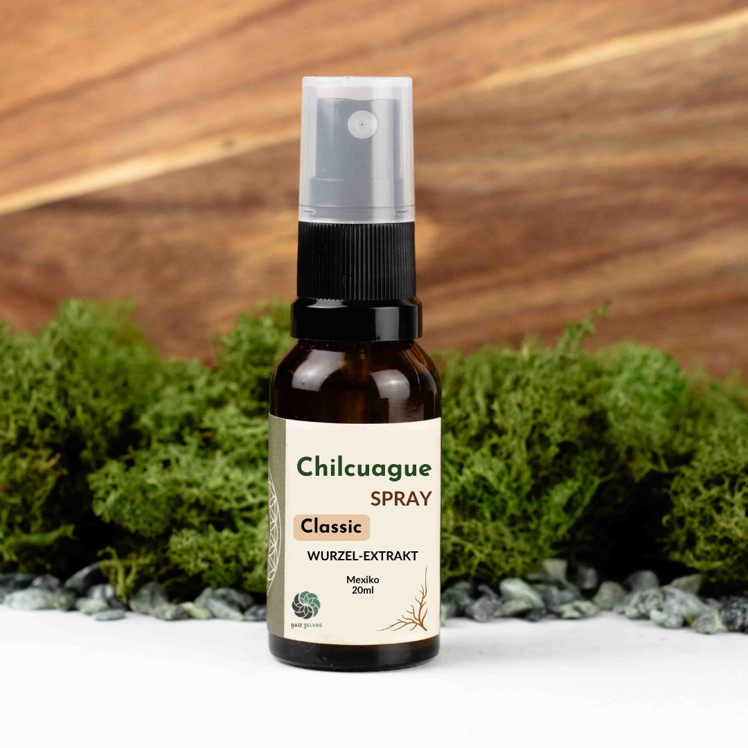 Chilcuague Spray, Wurzel Extrakt aus Mexiko, golden root, Heliopsis longipes, aztekische goldwurzel, extrakt, tinktur, kriblendes Mundspray, Raiz Selvas, 20ml Spray, Anwendung Spray