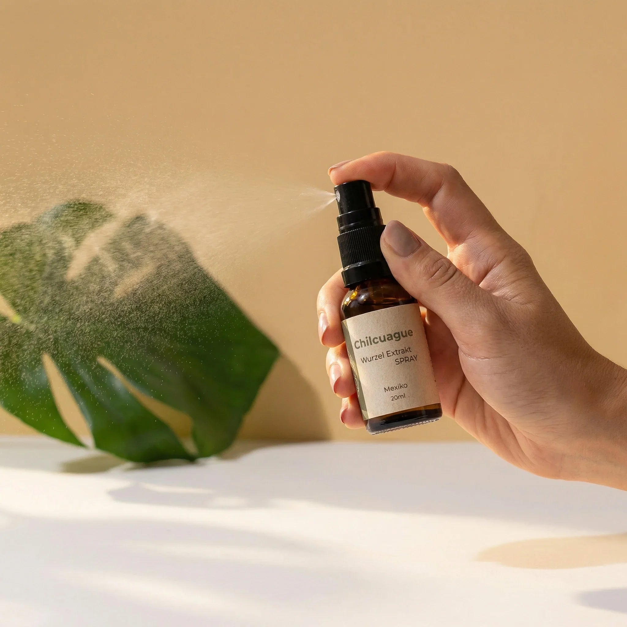 Chilcuague Spray, Wurzel Extrakt aus Mexiko, golden root, Heliopsis longipes, aztekische goldwurzel, extrakt, tinktur, kriblendes Mundspray, Raiz Selvas, 20ml Spray, Anwendung Spray