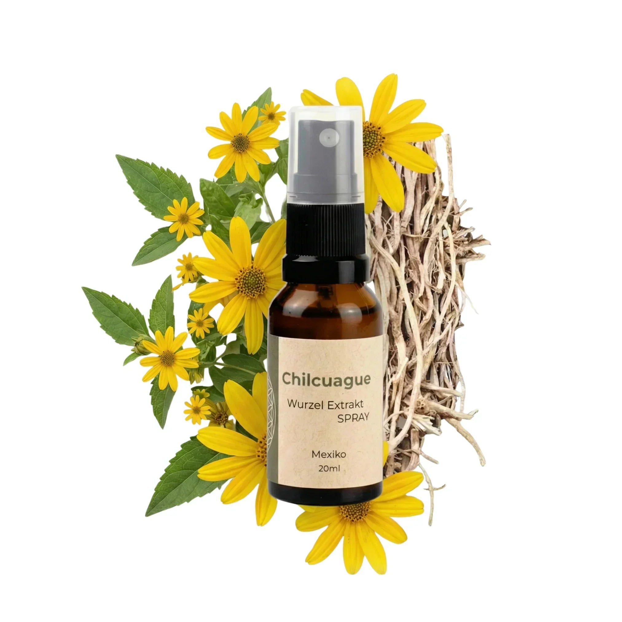 Chilcuague Spray, Wurzel Extrakt aus Mexiko, golden root, Heliopsis longipes, aztekische goldwurzel, extrakt, tinktur, kriblendes Mundspray, Raiz Selvas, 20ml Spray