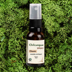 Chilcuague Spray, Wurzel Extrakt aus Mexiko, golden root, Heliopsis longipes, aztekische goldwurzel, extrakt, tinktur, kriblendes Mundspray, Raiz Selvas, 20ml Spray, Anwendung Spray