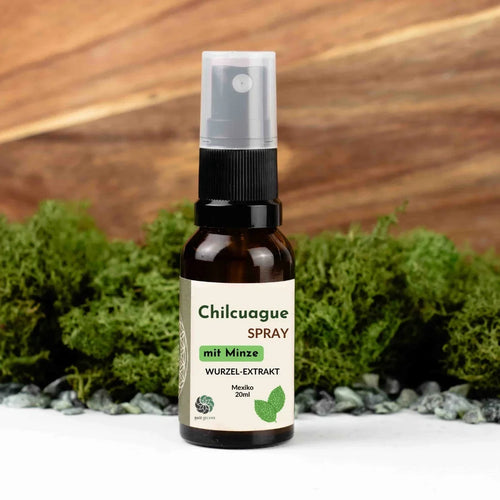 Chilcuague Spray, mit Minze, Wurzel Extrakt aus Mexiko, Minzextrakt, golden root, aztekische goldwurzel, extrakt, tinktur, Mundspray, Herstellung, Helios Longipis, natürliches Erfrischungsspray für den Mund