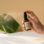 Chilcuague Spray, mit Minze, Wurzel Extrakt aus Mexiko, Minzextrakt, golden root, aztekische goldwurzel, extrakt, tinktur, Mundspray, Herstellung, Helios Longipis, natürliches Erfrischungsspray für den Mund