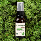 Chilcuague Spray, mit Minze, Wurzel Extrakt aus Mexiko, Minzextrakt, golden root, aztekische goldwurzel, extrakt, tinktur, Mundspray, Herstellung, Helios Longipis, natürliches Erfrischungsspray für den Mund