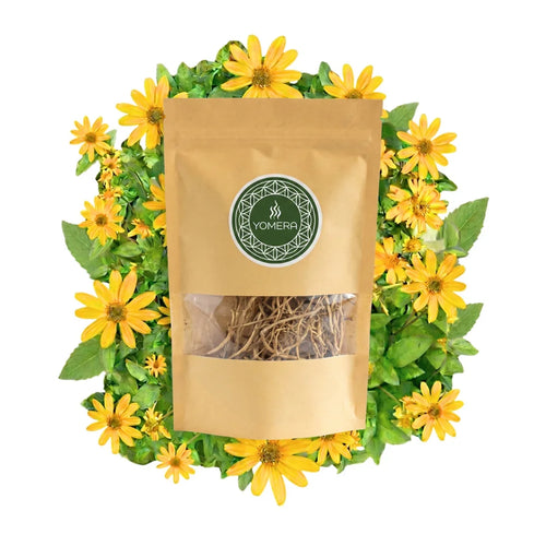 Chilcuague Wurzeln, golden root, aztekische Goldwurzel aus Mexiko, Heliopsis longipes, verzehrfertig in Tüte, getrocknet, unbehandelt, 15g, Anwendung 