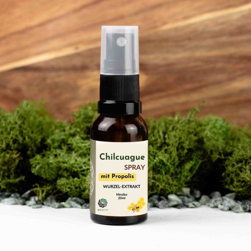 Chilcuague Spray, mit Propolis, Wurzel Extrakt aus Mexiko, golden root, Propoleo, aztekische goldwurzel, extrakt, tinktur, Mundspray, Propolisextrakt