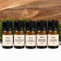 Rapeh, Rapè, Hapé, 5er Set, spare 15% im Set, Zunu aus Brasilien, Rita Huni Kuin, Cumaru, Rapé aus Brasilien, 8g, im Glas wiederverschließbar, traditionelles rapé, schamanischer Schnupftabak, Spare 15% im Rapé Set