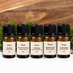 Rapeh, Rapè, Hapé, 5er Set, spare 15% im Set, Zunu aus Brasilien, Rita Huni Kuin, Cumaru, Rapé aus Brasilien, 8g, im Glas wiederverschließbar, traditionelles rapé, schamanischer Schnupftabak, Spare 15% im Rapé Set