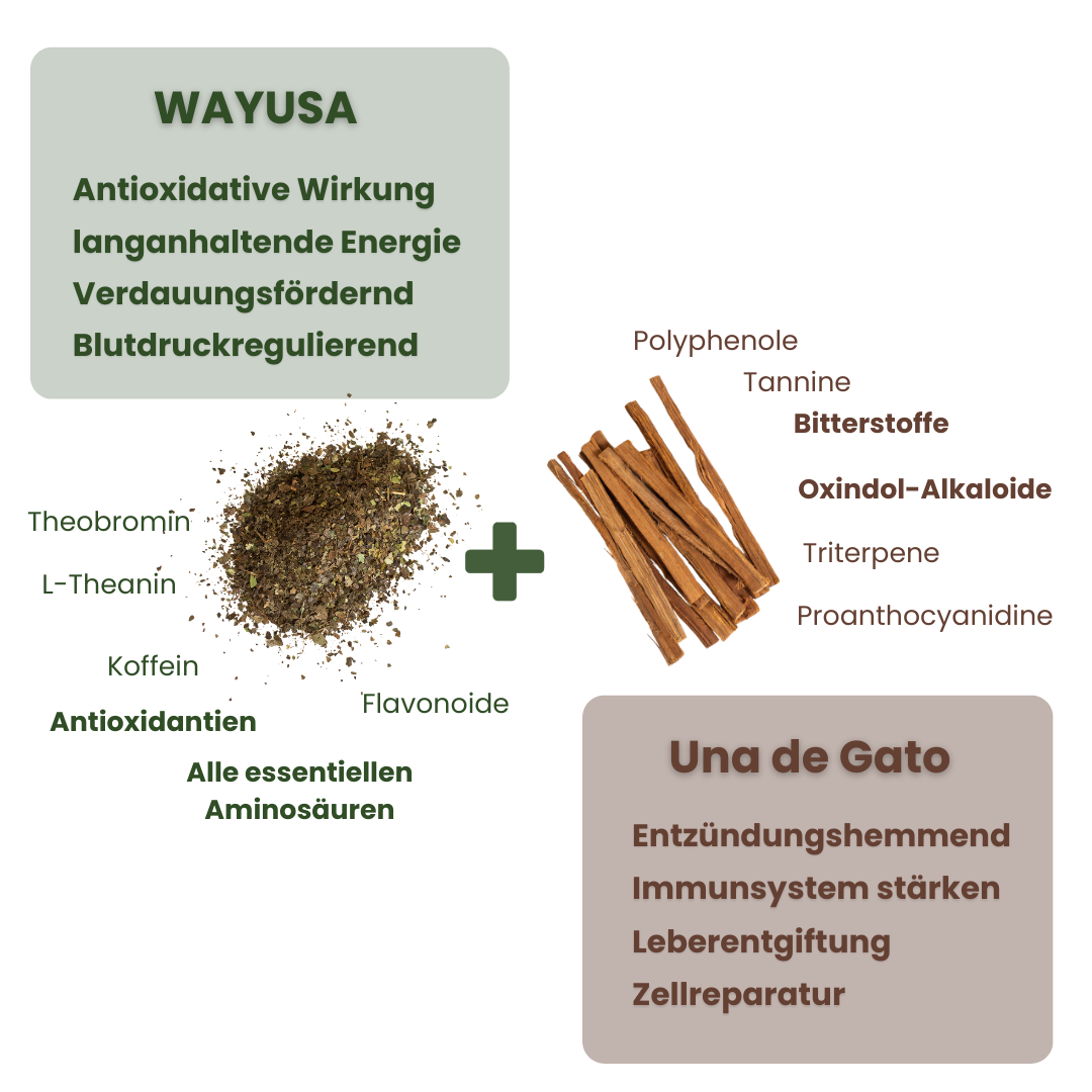 detox Wayusa + Una Mobile -2.png__PID:c20adcc2-abca-4db8-ba63-46689e1cd724