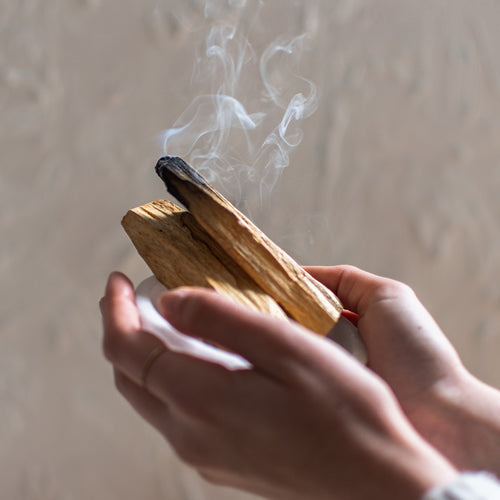 Palo Santo Räucherholz